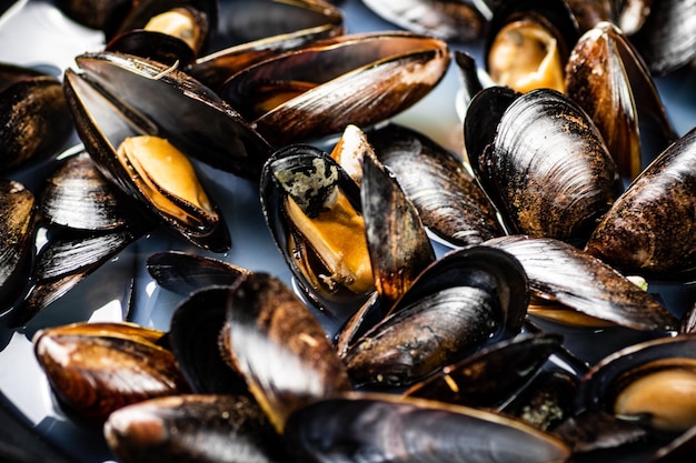 De délicieuses moules sont bouillies dans une casserole d'eau