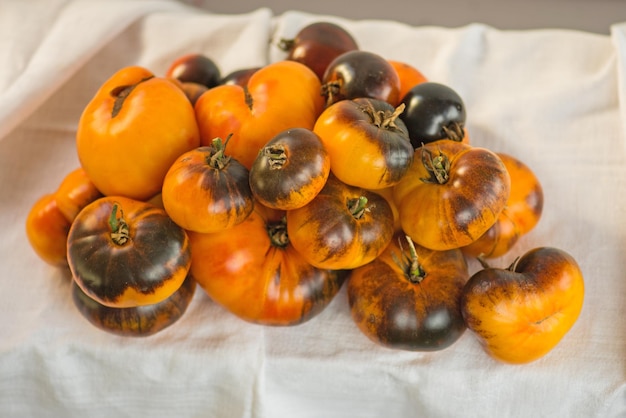 De délicieuses tomates jaunes brunes mûres fraîches Fond de tomates rouges fraîchement récoltées Dark Galaxy