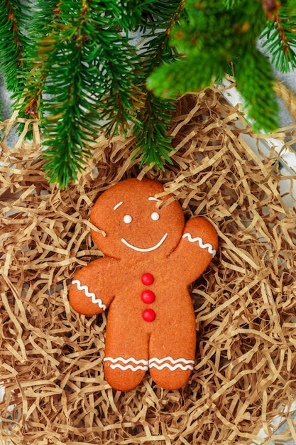 Photo délicieux biscuit de pain d'épice avec branche de sapin