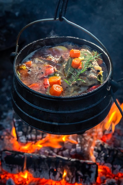 Délicieux et chaud ragoût de chasseur aux herbes et légumes