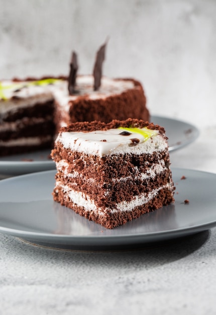 Délicieux gâteau au chocolat avec de la crème de noix de coco blanche sur la plaque sur la table sur fond de marbre. Fond d'écran pour pâtisserie ou menu de café. verticale.