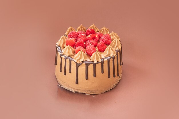 Délicieux gâteau au chocolat fait maison avec des fruits sur fond isolé