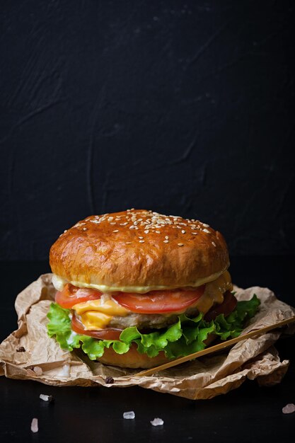 Délicieux hamburger fait maison avec de la viande de poulet Cheeseburger sur fond sombre