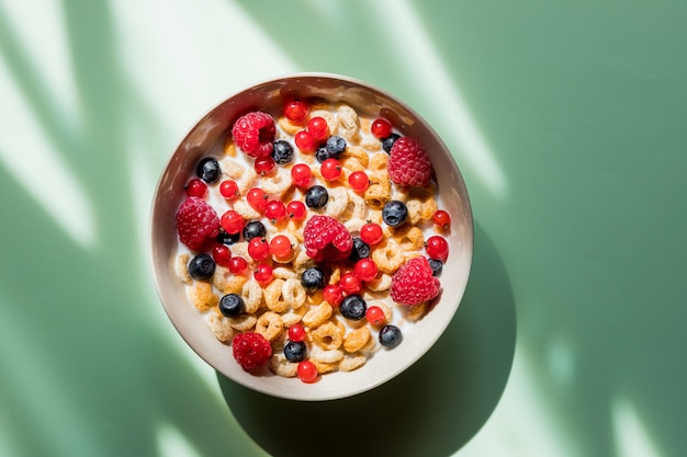 Délicieux petit déjeuner sain avec des flocons et des fruits isolés