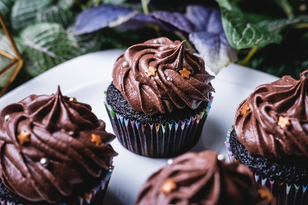 Délicieux petit gâteau au chocolat fait maison.