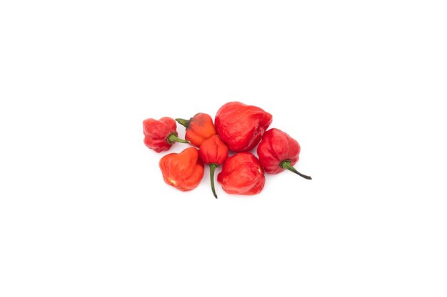 Délicieux piments rouges épicés sur fond blanc isolé