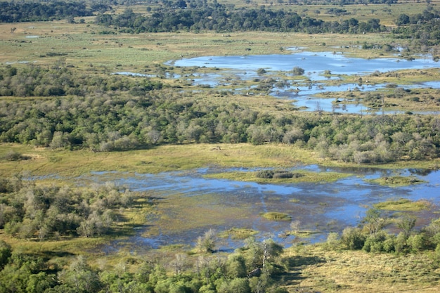 Le delta de l'Okavango