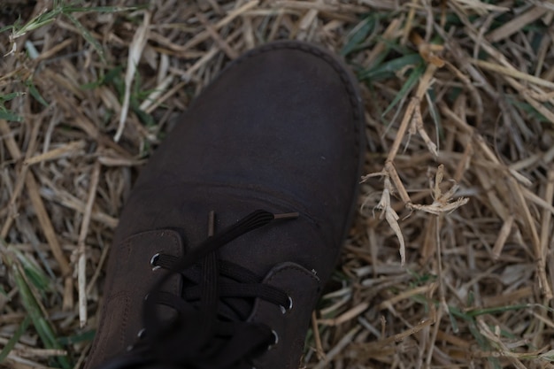 démarrage dans l'herbe verte