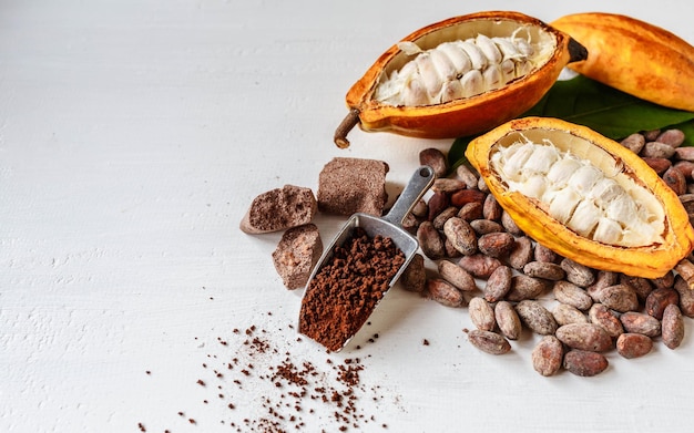 Demi cabosses de cacao avec fruits de cacao et poudre de cacao brun