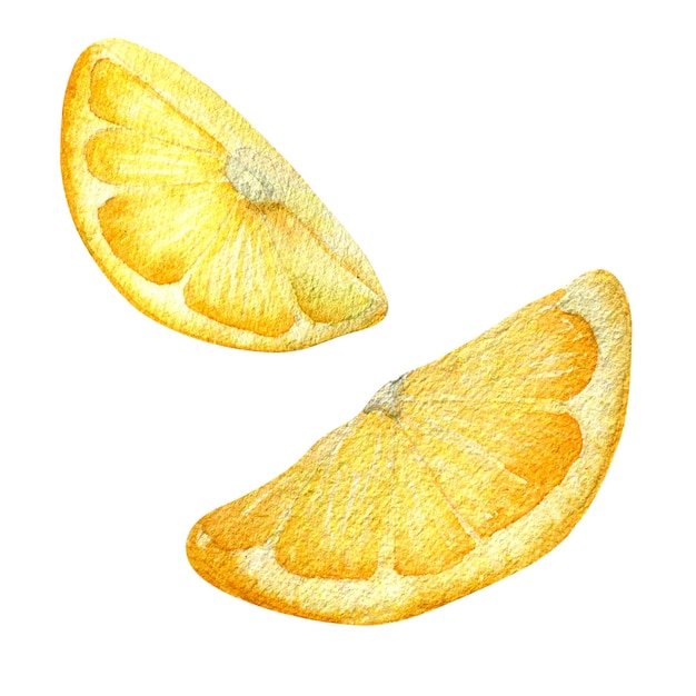 Un demi-citron aquarelle illustration isolé sur fond blanc