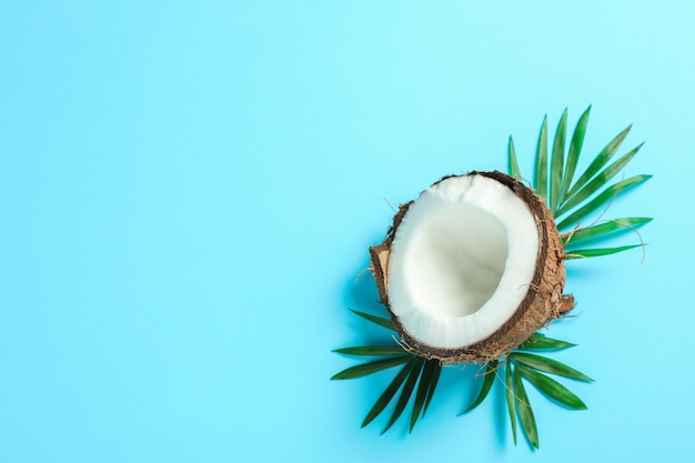 Demi noix de coco avec branche de palmier sur la couleur