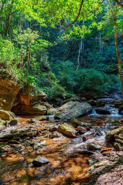 La dense végétation de la forêt tropicale traversée par la rivière au milieu des rochers du Minas Gerais au Brésil