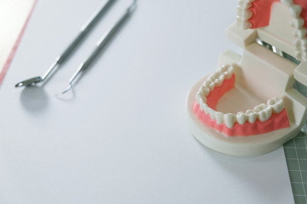 Dent saine blanche avec modèle dentaire dans le concept de soins de santé bucco-dentaire.