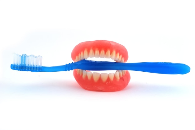 Dentier et brosse à dents