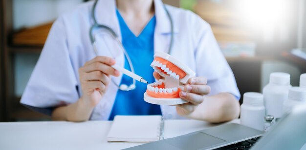 Dentiste concentré assis à table avec un modèle de dent d'échantillons de mâchoire et travaillant avec une tablette et un ordinateur portable dans une clinique dentaire professionnelle de cabinet dentaire