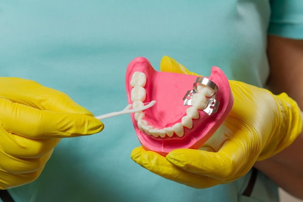 Dentiste avec cure-dents en fil dentaire et disposition de la mâchoire humaine