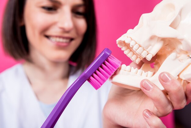 Dentiste femme se brosser les dents d'un crâne artificiel à l'aide d'une grande brosse à dents