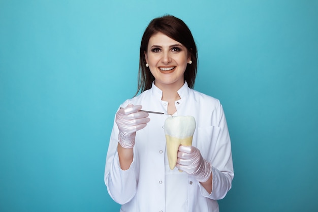 Dentiste femme souriante tenant dans les mains le modèle de mâchoire et d'instruments.