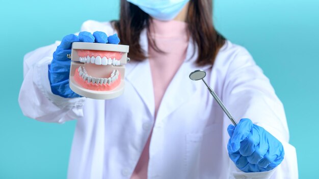 Dentiste femme tenant le modèle de dent et l'équipement sur fond d'écran bleu. Soins dentaires et dents saines.