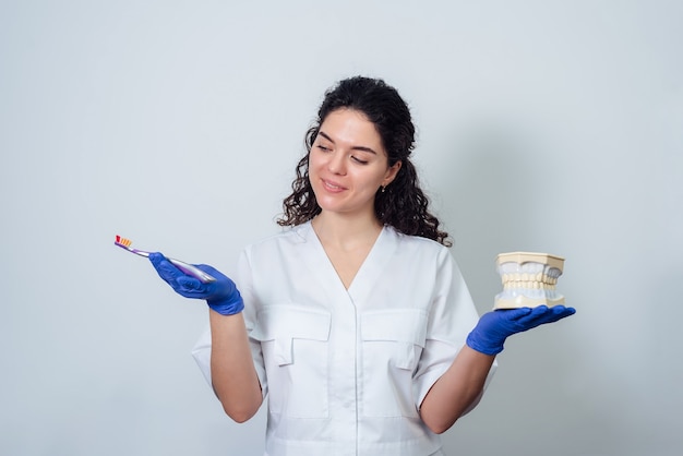 Photo dentiste fille détient un modèle volumétrique de dents et une brosse à dents