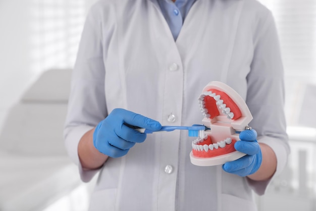 Dentiste avec modèle de mâchoires et brosse à dents en gros plan de la clinique Démonstration de soins bucco-dentaires