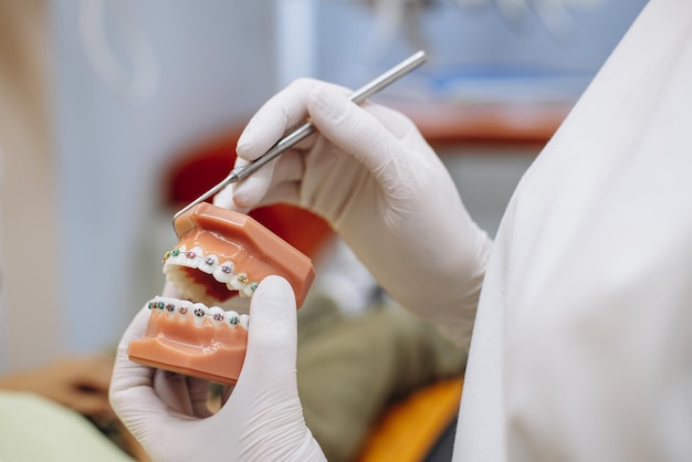 Dentiste montrant des accolades sur une mâchoire artificielle