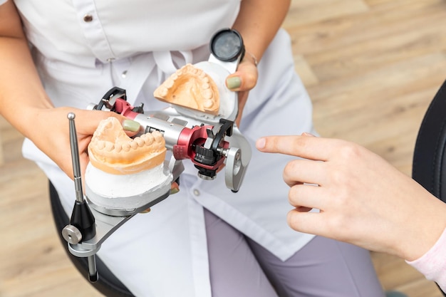 Dentiste montrant à un client un articulateur dentaire avec un modèle de prothèse en gypse dentaire en dentaire