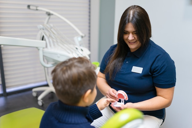 Dentiste montrant le modèle de la mâchoire au garçon