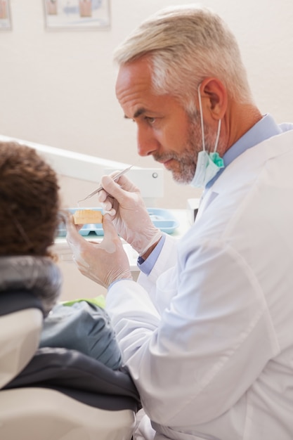 Dentiste montrant le modèle patient de dents