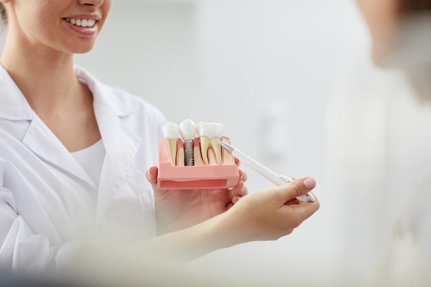 Dentiste souriant pointant sur le modèle de dent