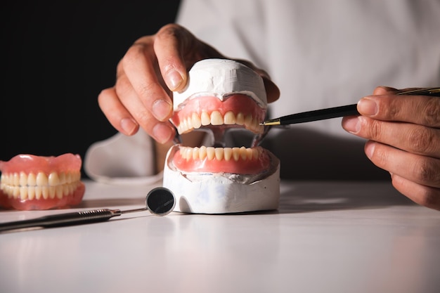 Dentiste tenant une maquette de dents et un outil