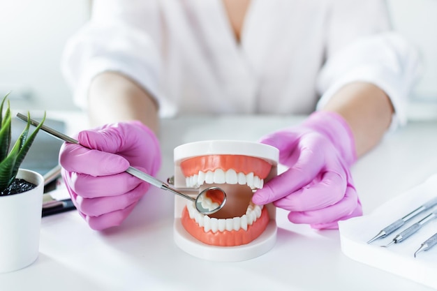 Dentiste tenant un modèle de prothèse dentaire et expliquant avec un miroir incliné au patient au cabinet du dentiste