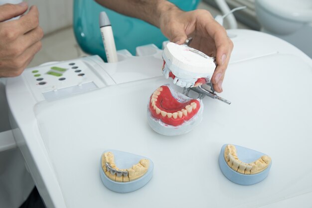 Le dentiste tient une mâchoire simulée dans sa main