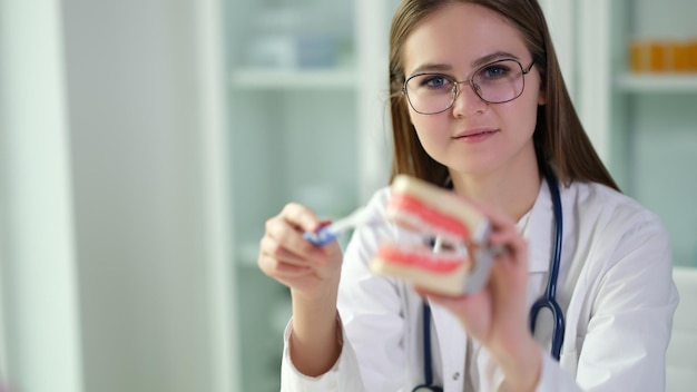 Une dentiste tient un modèle de mâchoires et une brosse à dents dans les mains
