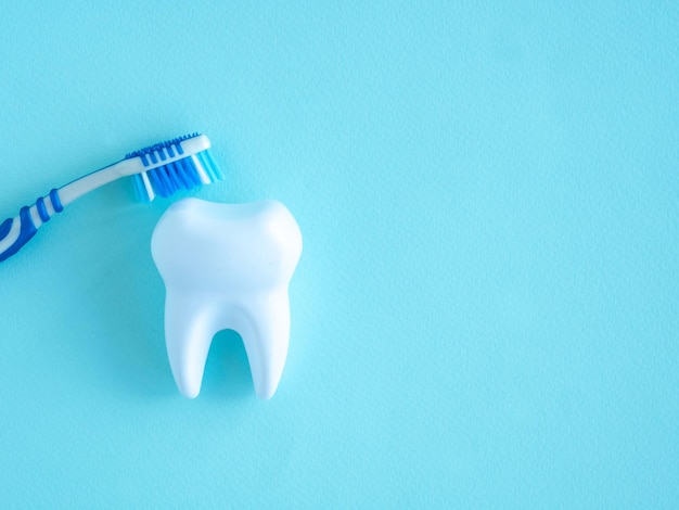 Dents et brosse à dents sur fond bleu
