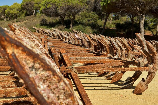 Dépôt d'ancres anciennes et rouillées à Cadix