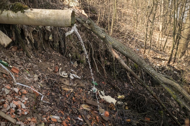 Dépotoir et arbres tombés à côté du tuyau d'égout