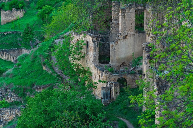 Dernières maisons abandonnées parmi la végétation en bordure du village inhabité de Gamsutl au Daghestan