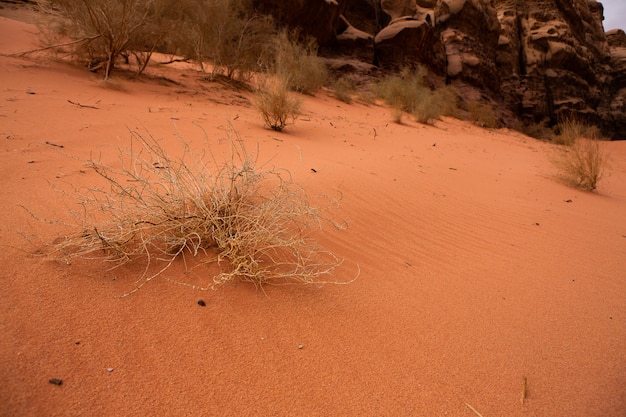 Désert d'adi Rum en Jordanie