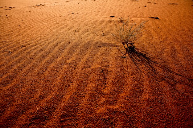 Désert d'adi Rum en Jordanie