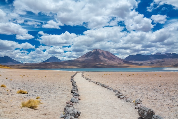 Désert d'Atacama Altiplana, Laguna Miscanti paysage de lac salé et de montagnes, Miniques, Chili, Amérique du Sud