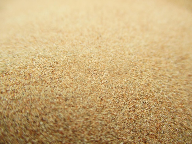 Photo désert aux couleurs chaudes dunes de sable