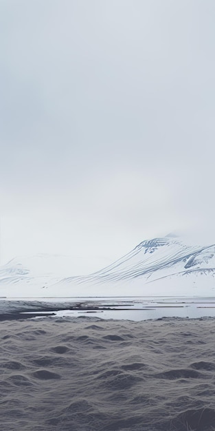 Désert blanc gris avec neige et montagnes paysages atmosphériques dans le style Antti Lovag