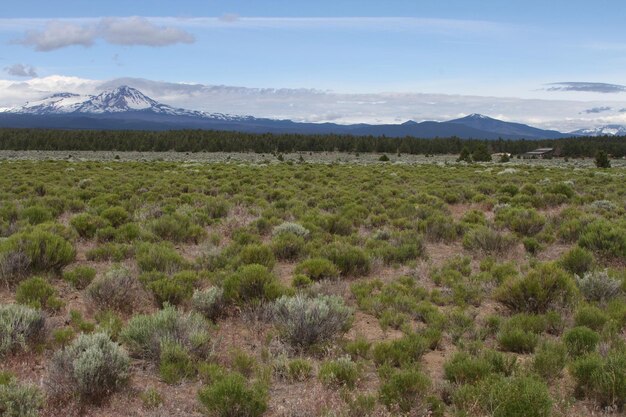 Désert de Deschutes