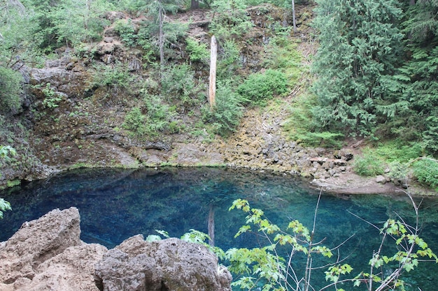 Désert de Deschutes