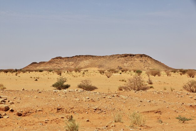 Désert Du Sahara Du Soudan