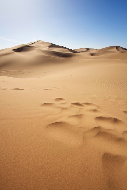 Désert du Sahara