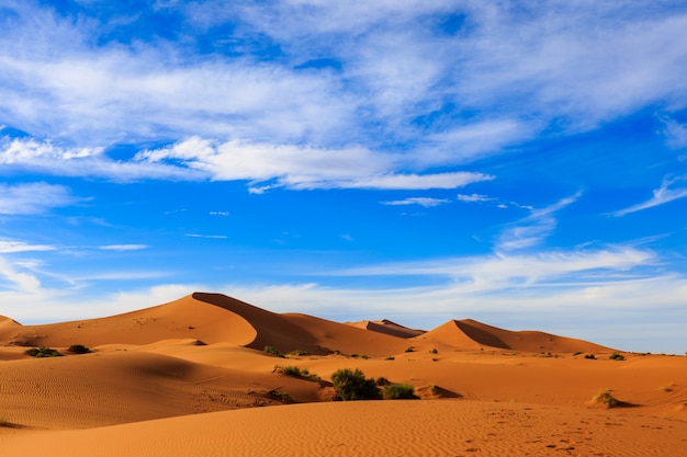 Désert du Sahara