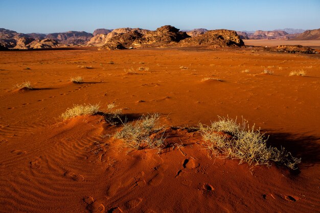 Désert du Wadi Rum en Jordanie