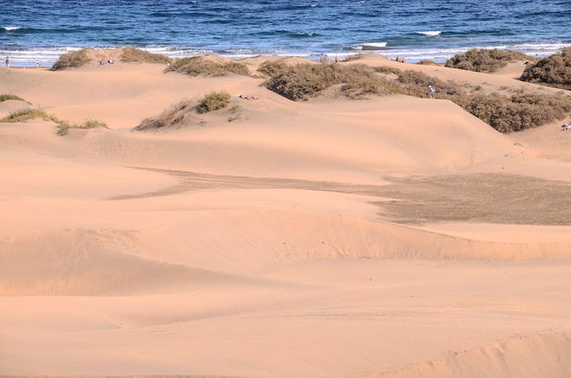 Désert de dunes de sable à Maspalomas Gran Canaria Island Espagne